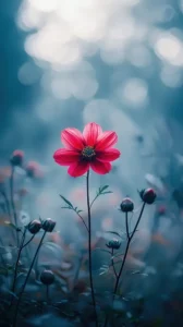 vibrant pink flower wallpaper